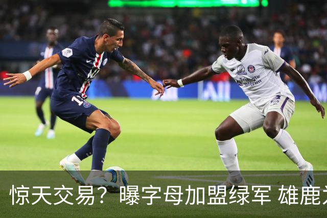 惊天交易？曝字母加盟绿军 雄鹿为布朗寻找第三方